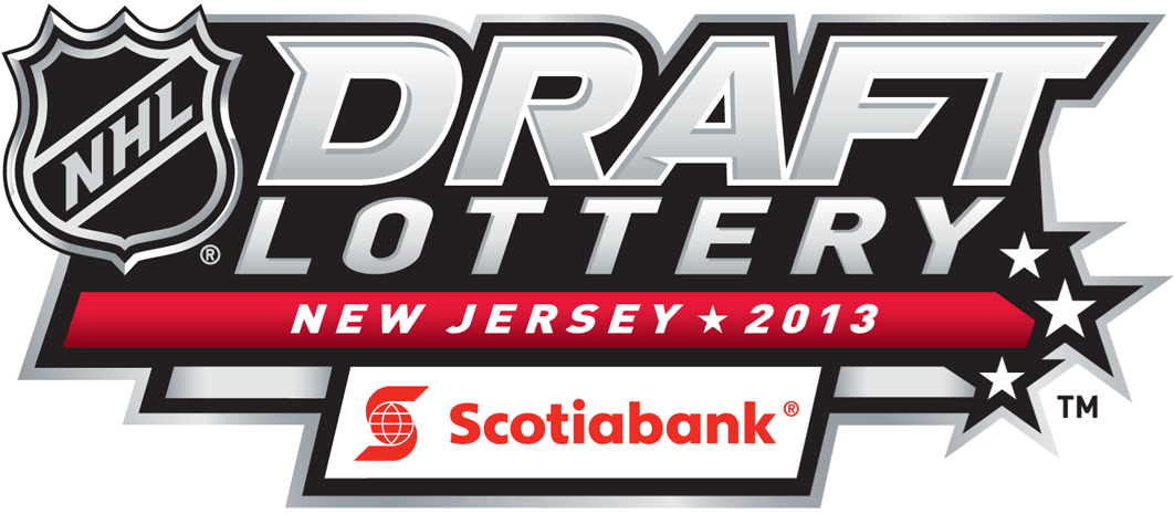 NHL Draft 2013 Misc Logo iron on heat transfer